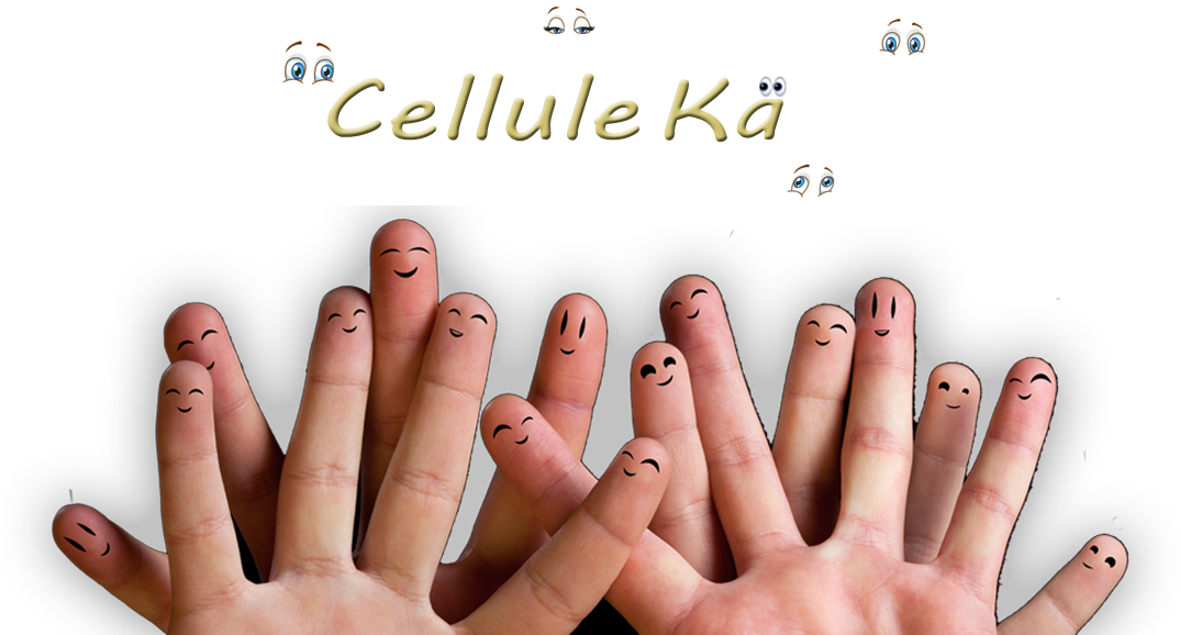Cellule Kä - Accueil